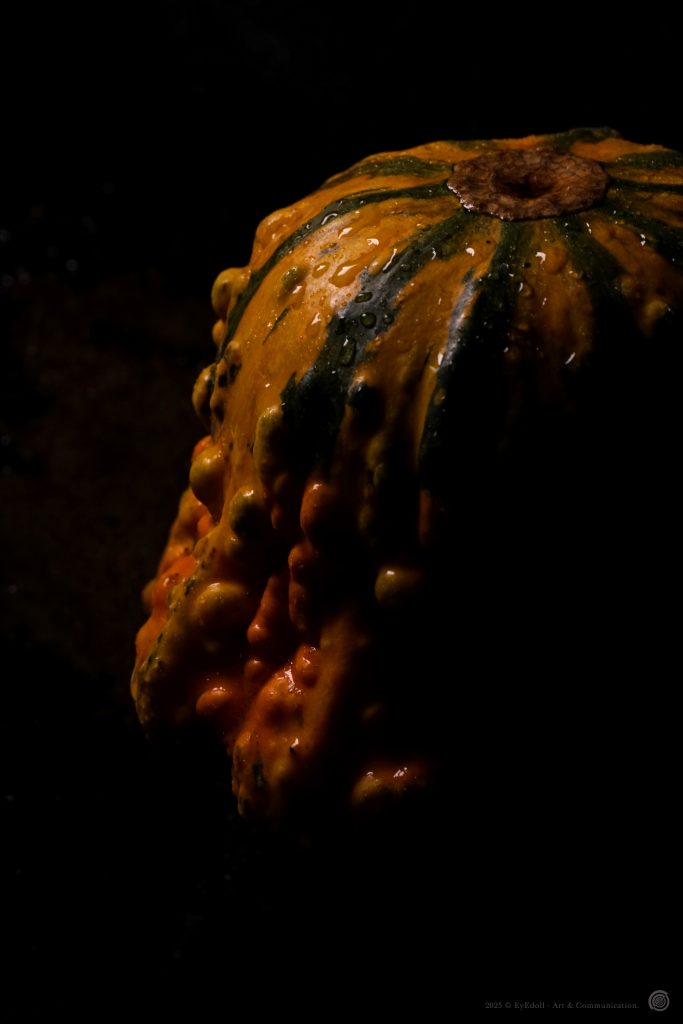Photographie artistique Eyedoll – courge difforme aux reliefs grotesques, éclairée en clair-obscur, évocation baroque et païenne du folklore d’Halloween et de Samhain.