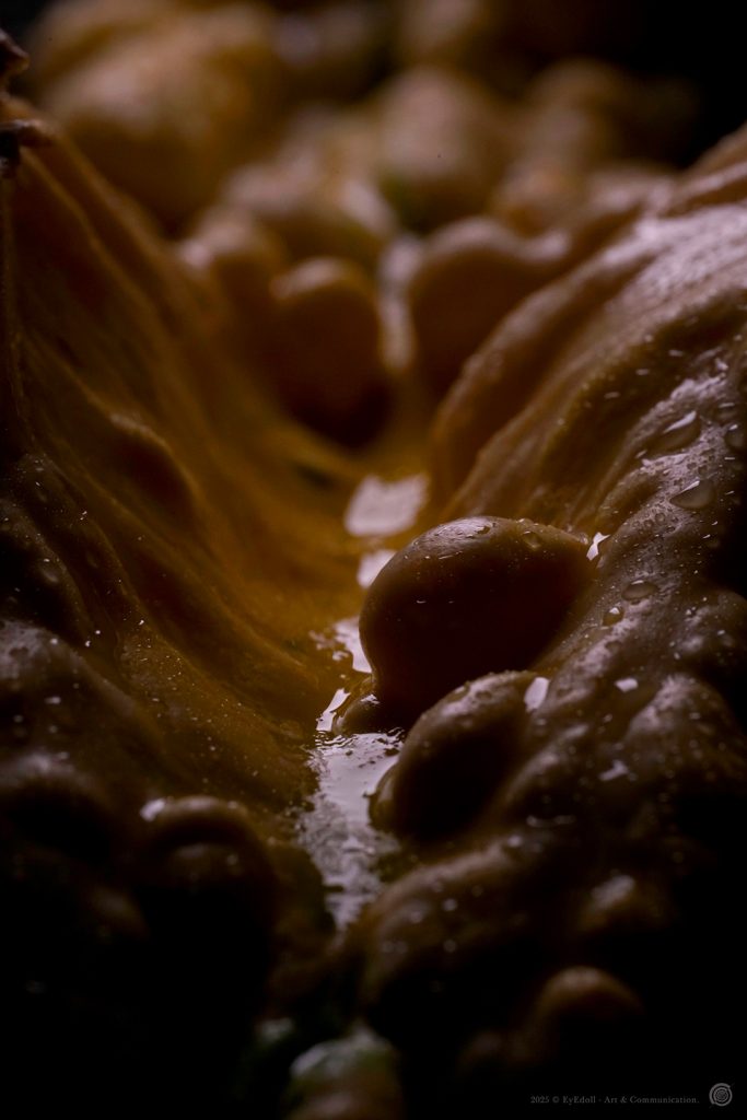 Photographie artistique Eyedoll -  gros plan de texture organique luisante éclairée en clair-obscur, évocation baroque du sacré païen d’Halloween et de Samhain.