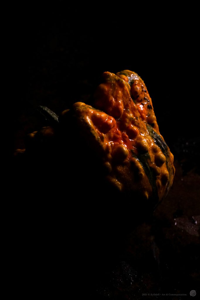 Photographie artistique Eyedoll - courge difforme éclairée en clair-obscur, texture organique baroque inspirée du folklore d’Halloween et de Samhain.
