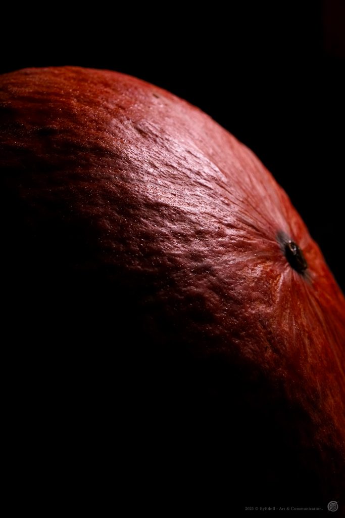 Photographie artistique Eyedoll – forme rouge sculptée par la lumière, nature morte baroque inspirée d’Halloween et de Samhain, entre matière et rituel.