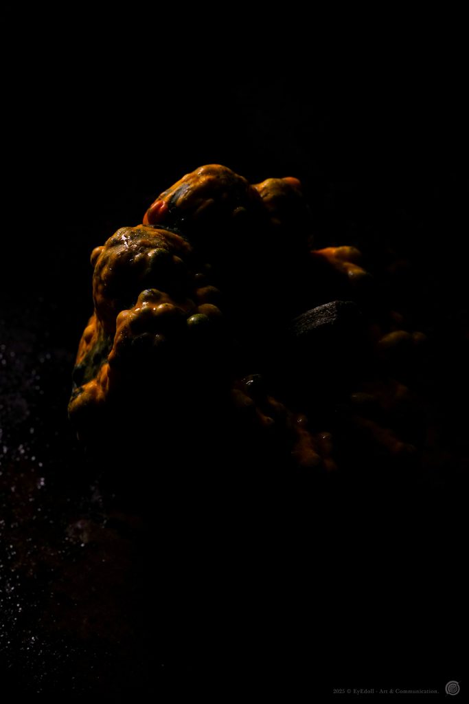 Photographie artistique Eyedoll -  courge difforme émergente de l’ombre, éclairée en clair-obscur, évocation occulte du folklore d’Halloween et de Samhain.