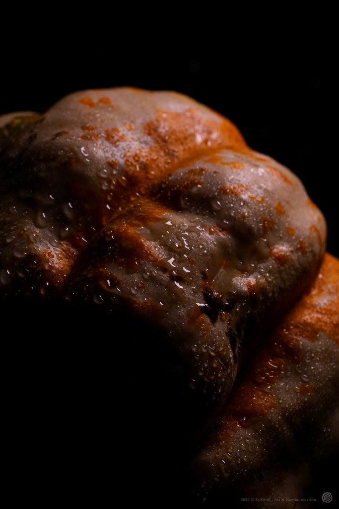 Photographie artistique Eyedoll – surface organique perlée d’humidité, éclairée en clair-obscur, symbole baroque du rituel d’Halloween et de Samhain.