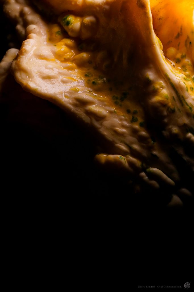 Détail photographique baroque Eyedoll - texture organique éclairée en clair-obscur, inspirée du folklore d’Halloween et de Samhain, entre matière vivante et vanité.